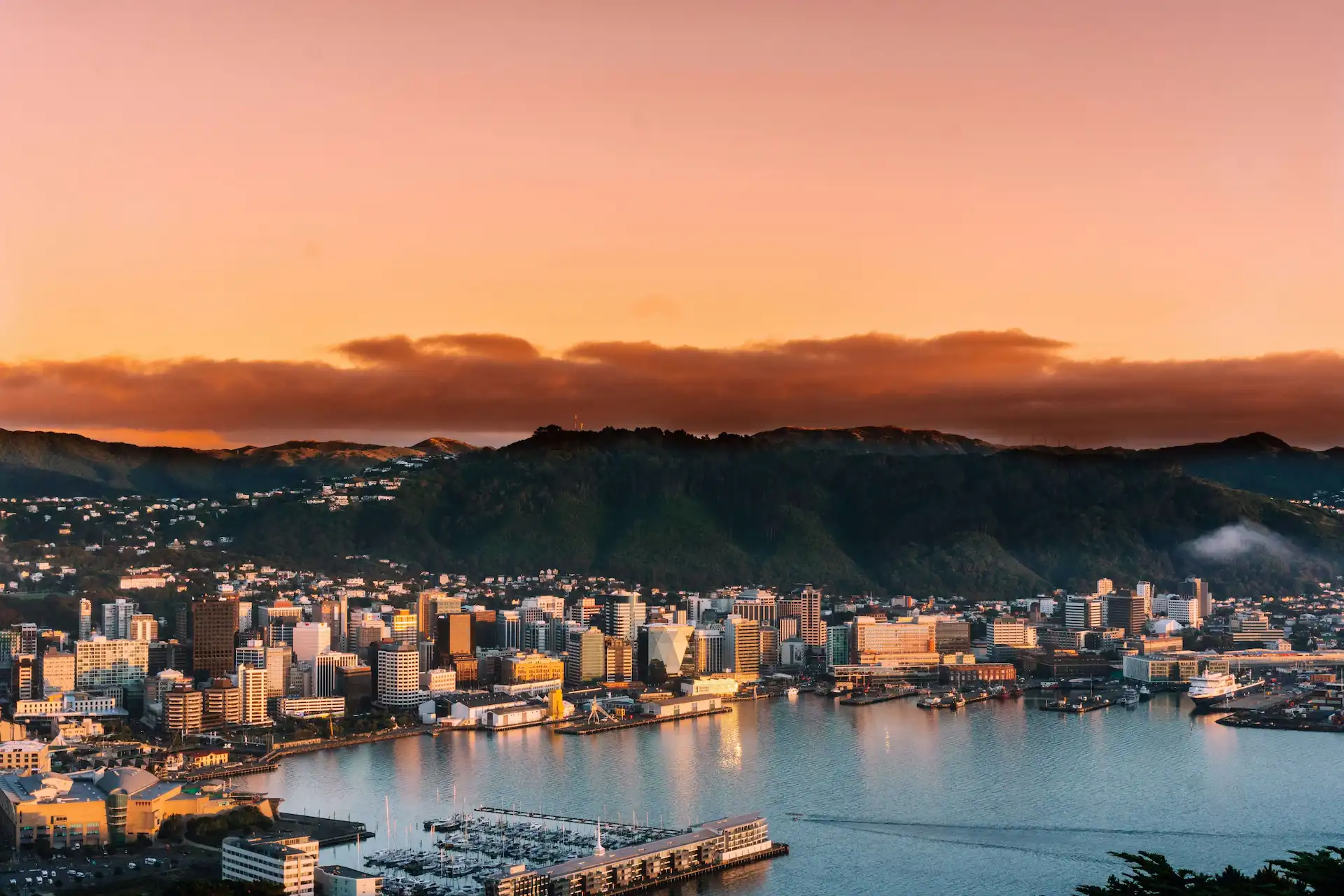 Wellington harbour at sunset